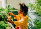 7 Houseplants That May Be Good for Your Health