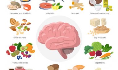 Best Brain Foods