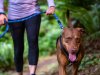 Walking: An Easy Way to Get Fit